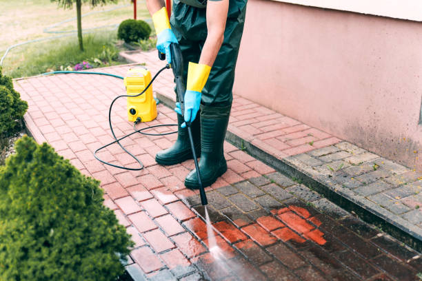 Best Solar Panel Cleaning  in Lawrencevle, IL